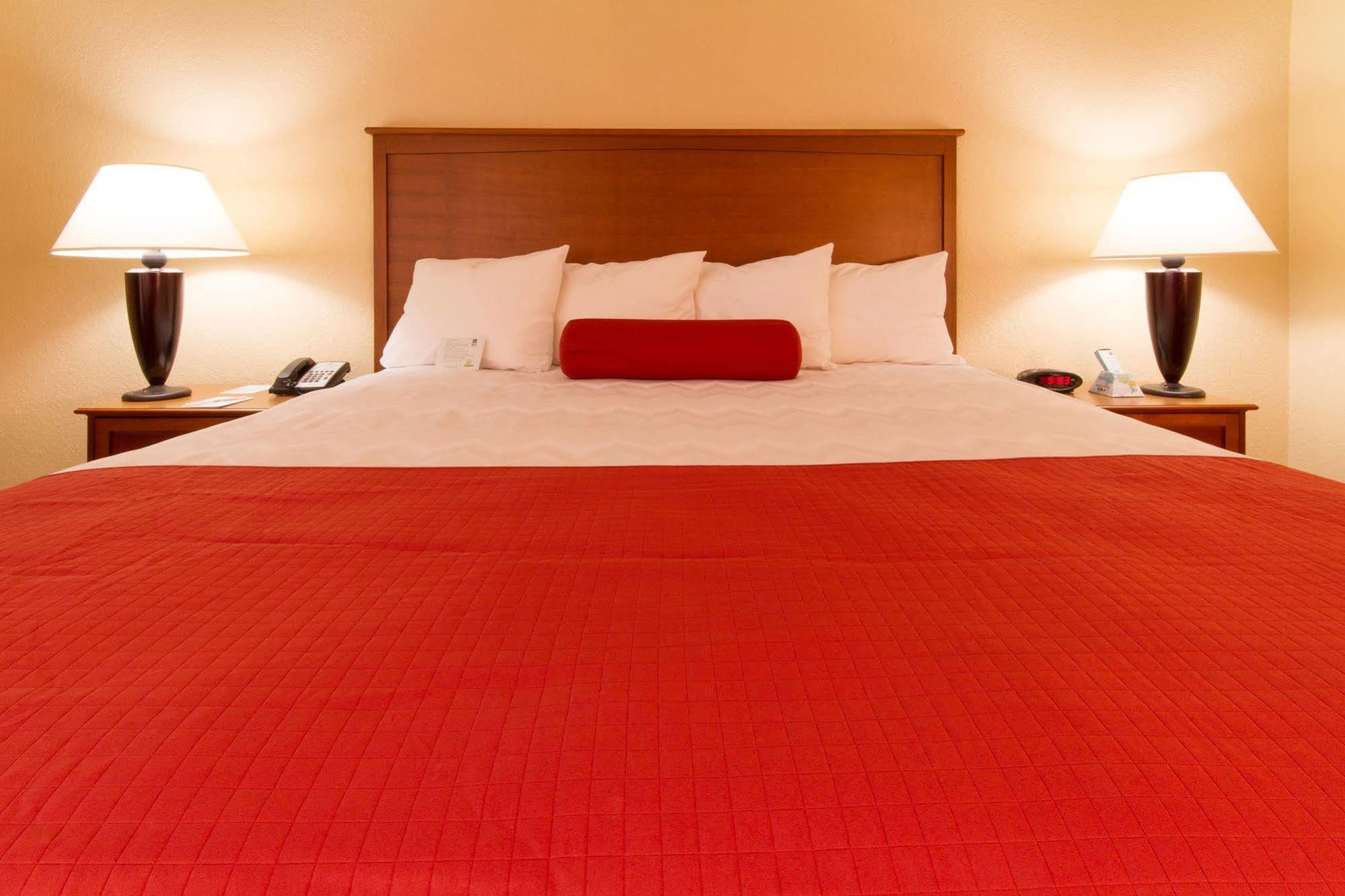 Best Western International Speedway Hotel Daytona Beach Zewnętrze zdjęcie